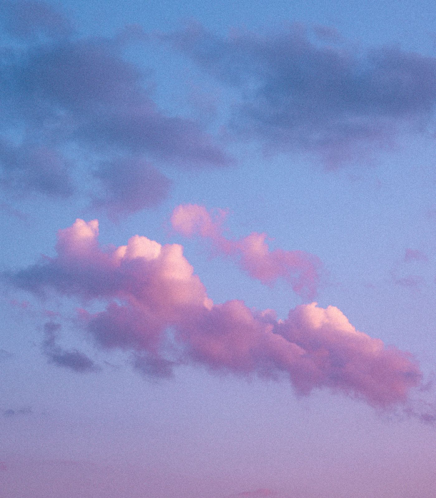 Cielo rosado y lavanda al atardecer